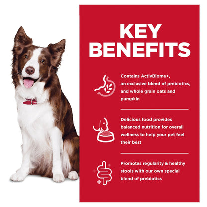 Hill's Science Diet Perfect Digestion Adult Dry Dog Food - Woonona Petfoods