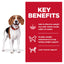 Hill's Science Diet Perfect Weight Adult Small Bites Dry Dog Food 5.44kg - Woonona Petfoods