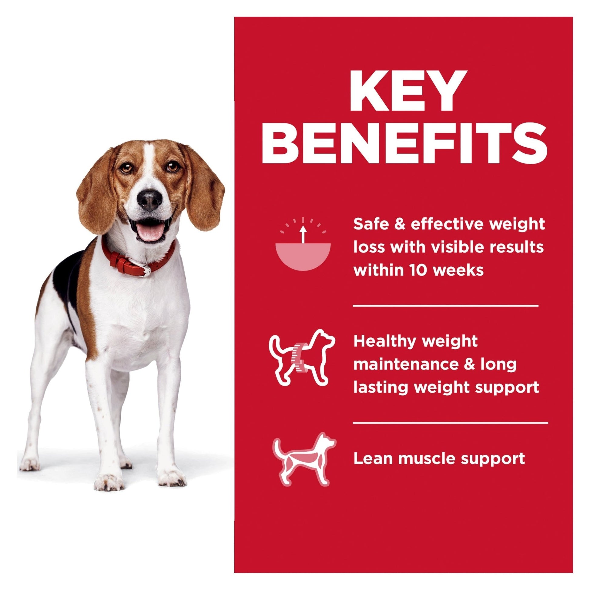 Hill's Science Diet Perfect Weight Adult Small Bites Dry Dog Food 5.44kg - Woonona Petfoods