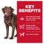 Hill's Science Diet Perfect Weight Large Breed Adult Dry Dog Food 11.3kg - Woonona Petfoods