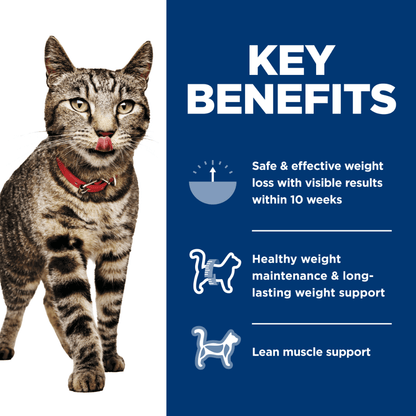 Hill's Science Diet Perfect Weight Wet Cat Food Salmon and Vegetable - Woonona Petfoods