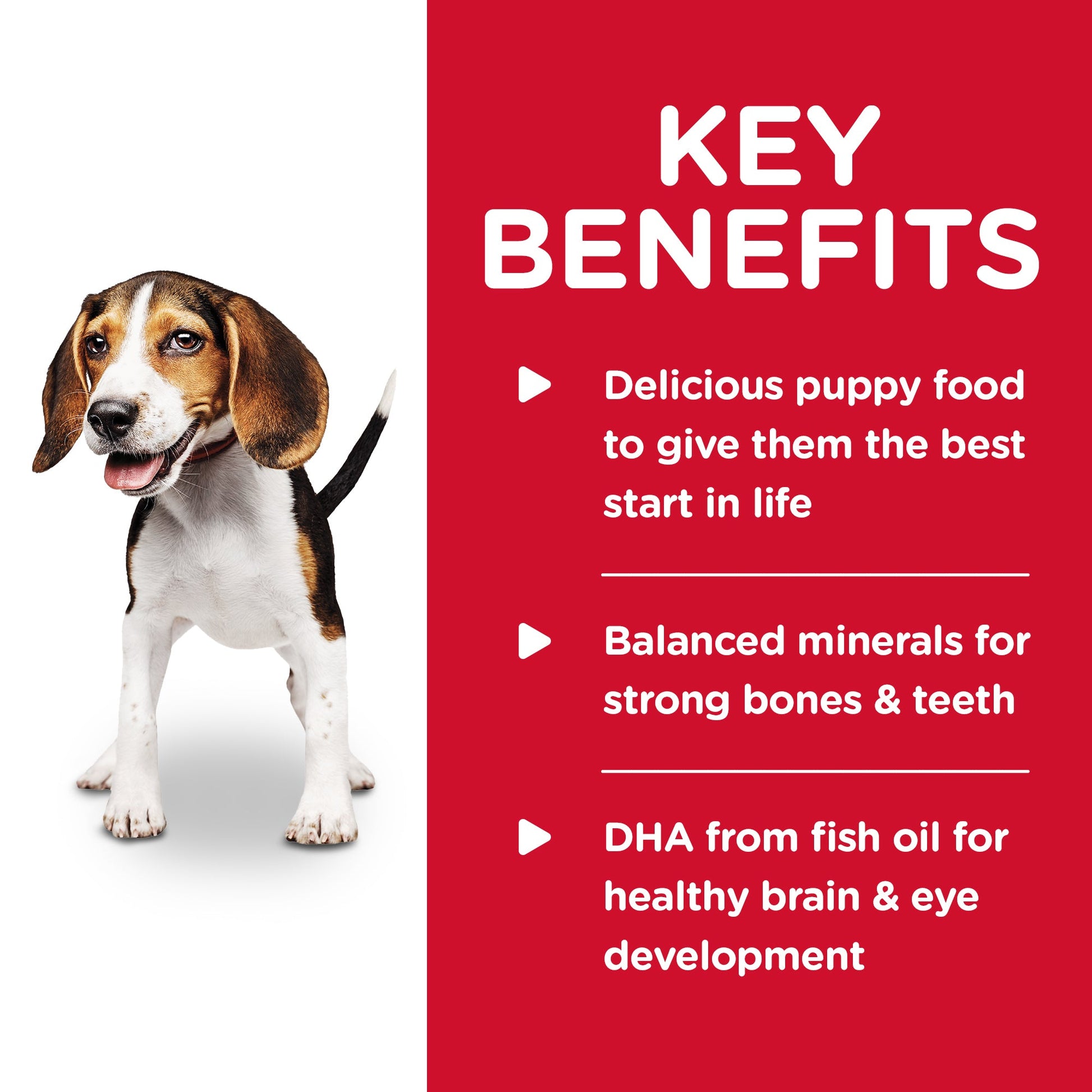 Hill's Science Diet Puppy Chicken & Barley Entrée Canned Dog Food 12x370g - Woonona Petfoods
