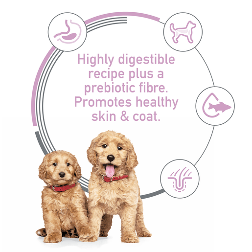 Hill's Science Diet Puppy Sensitive Stomach and Skin Salmon & Brown Rice Dry Dog Food 1.8kg - Woonona Petfoods