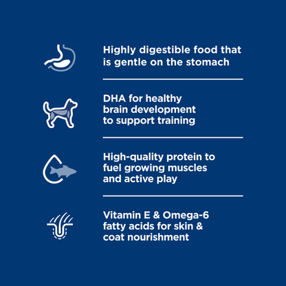 Hill's Science Diet Puppy Sensitive Stomach and Skin Salmon Vegetables 12x354g - Woonona Petfoods