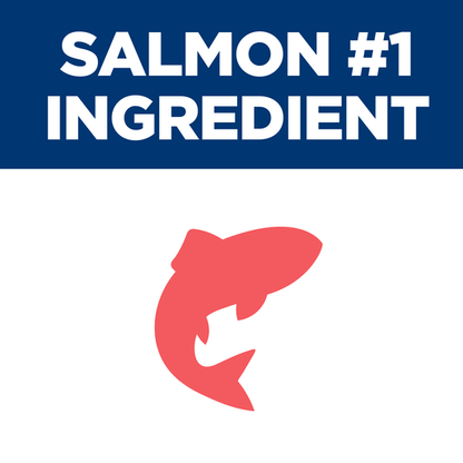 Hill's Science Diet Puppy Sensitive Stomach and Skin Salmon Vegetables 12x354g - Woonona Petfoods