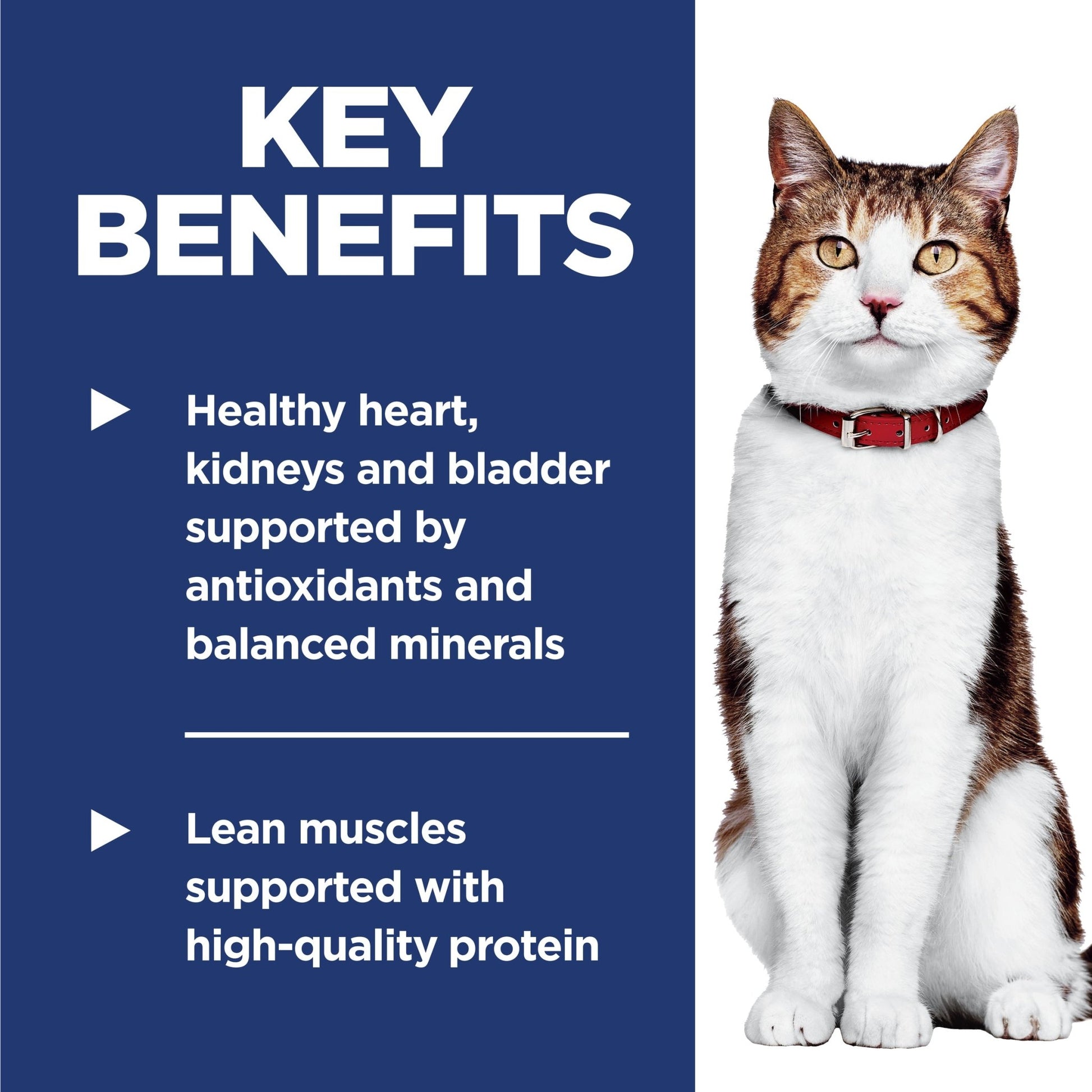 Hill's Science Diet Senior Adult 7+ Dry Cat Food - Woonona Petfoods