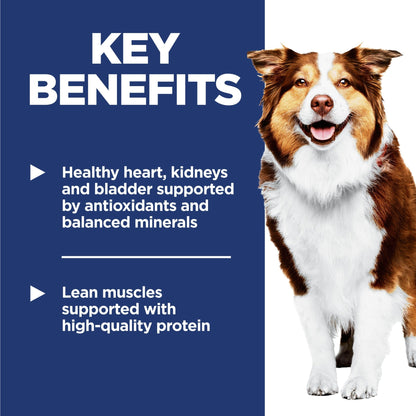 Hill's Science Diet Senior Adult 7+ Dry Dog Food - Woonona Petfoods