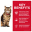 Hill's Science Diet Sensitive Stomach & Skin Adult Dry Cat Food - Woonona Petfoods