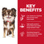 Hill's Science Diet Sensitive Stomach & Skin Adult Small & Mini Dry Dog Food 1.81kg - Woonona Petfoods