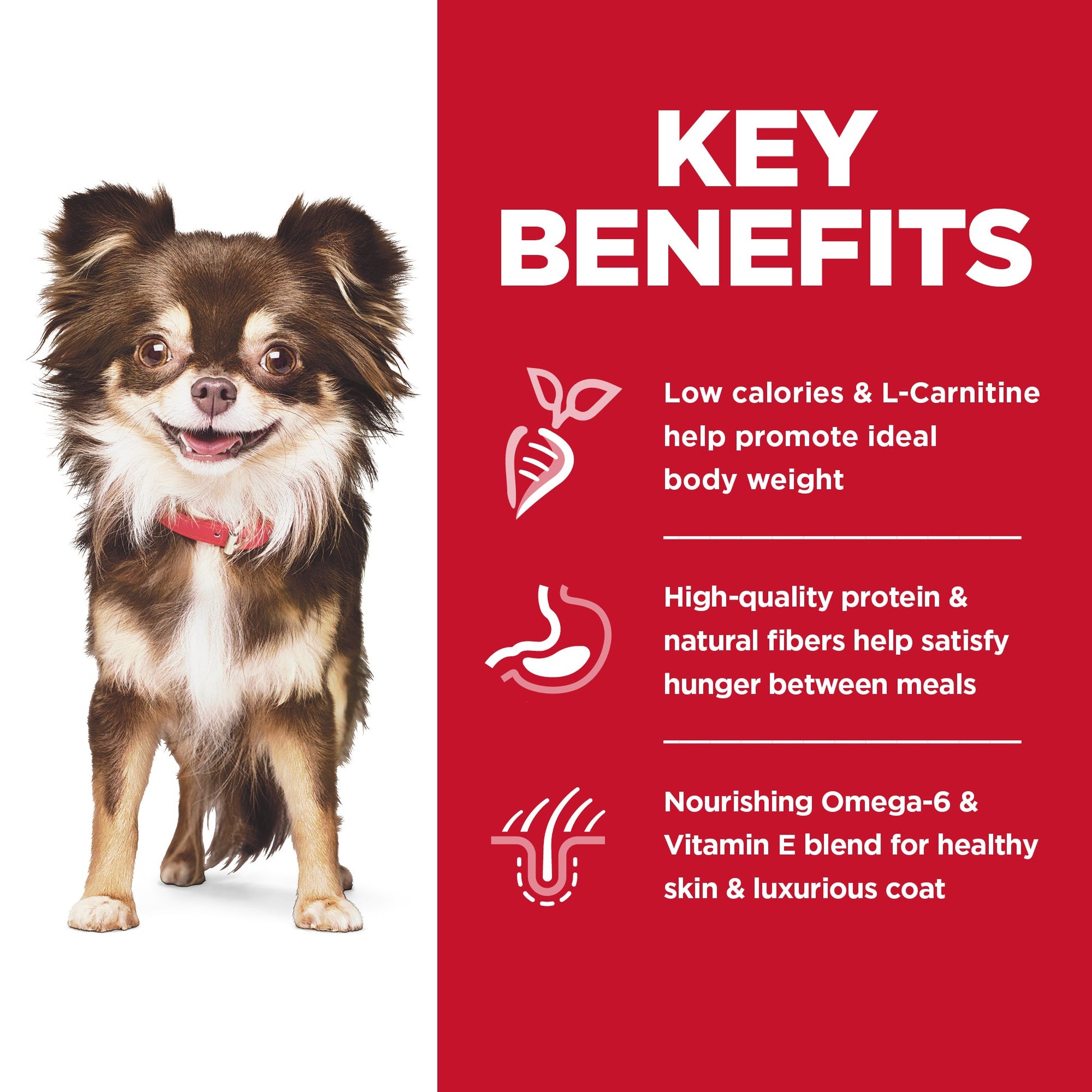 Hill's Science Diet Sensitive Stomach & Skin Adult Small & Mini Dry Dog Food 1.81kg - Woonona Petfoods