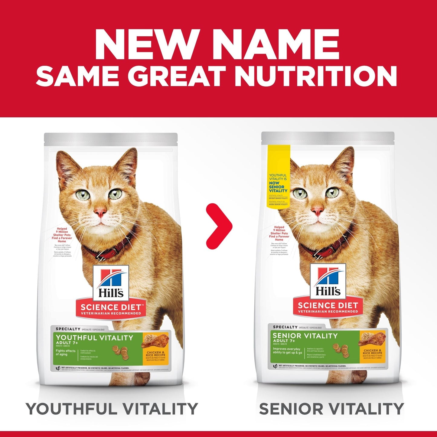 Hill's Science Diet Youthful Vitality Senior Adult 7+ Dry Cat Foodzzz - Woonona Petfoods