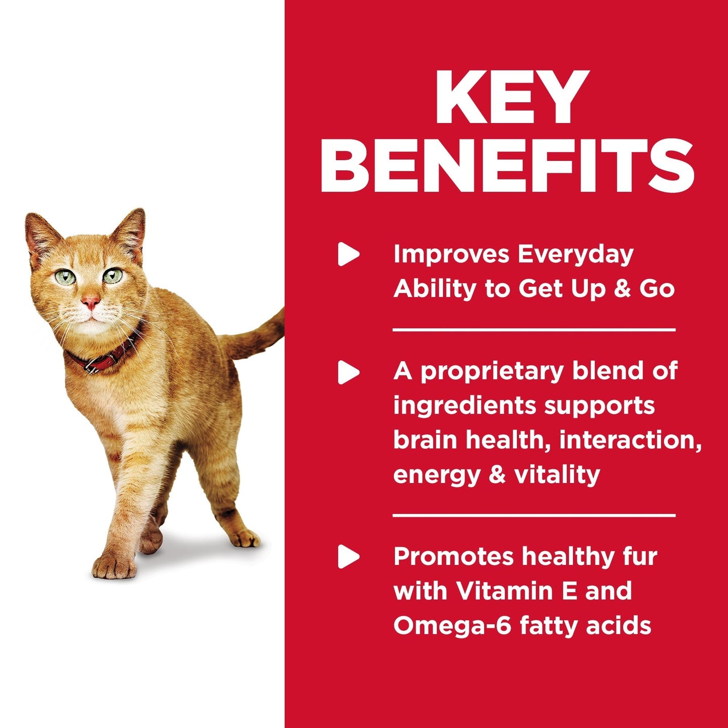 Hill's Science Diet Youthful Vitality Senior Adult 7+ Dry Cat Foodzzz - Woonona Petfoods