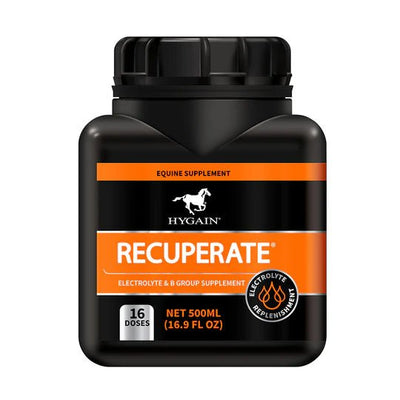 Hygain Recuperate 500ml - Woonona Petfood & Produce