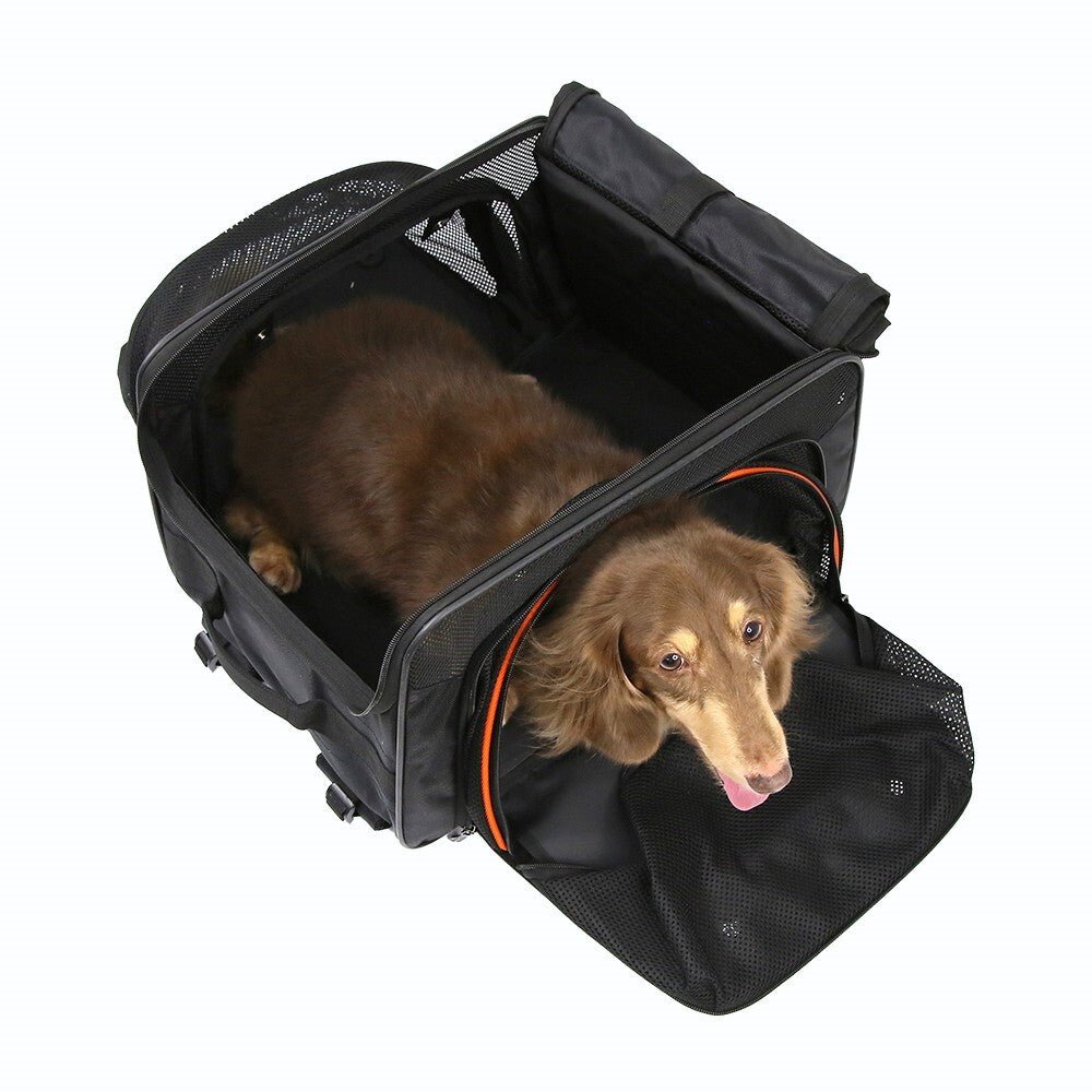 Ibiyaya Jatpaw Expandable Backpack Carrier Obsidian/Orange - Woonona Petfoods