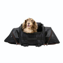 Ibiyaya Jatpaw Expandable Backpack Carrier Obsidian/Orange - Woonona Petfoods