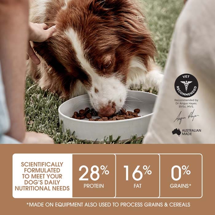 Ivory Coat Grain Free Dry Dog Food Puppy Large Breed Lamb - Woonona Petfoods