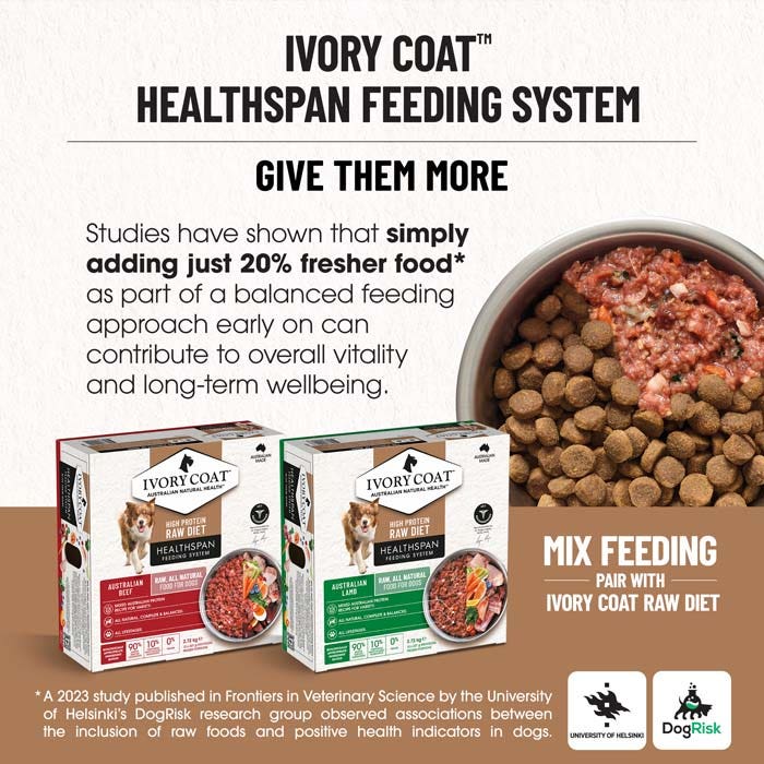 Ivory Coat Grain Free Dry Dog Food Puppy Large Breed Lamb - Woonona Petfoods