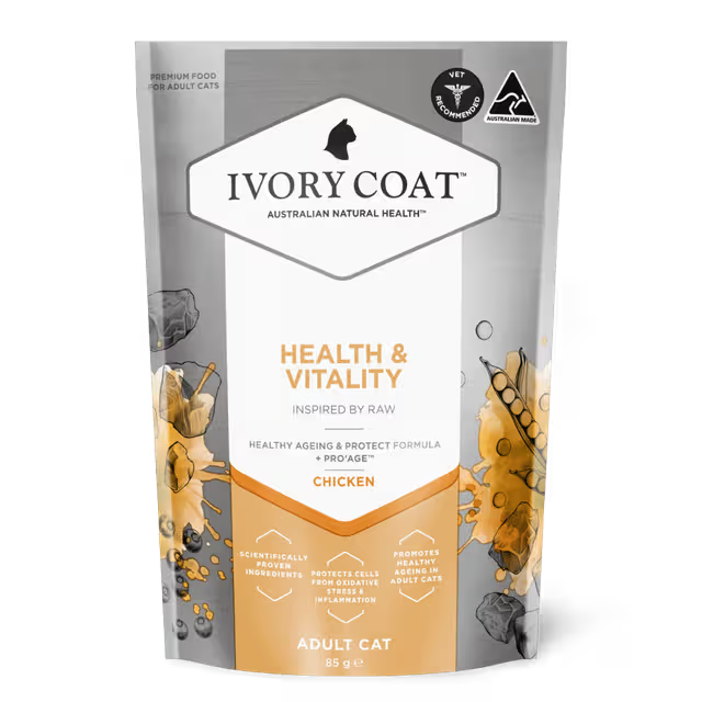 Ivory Coat Raw Health Wet Cat Food Chicken Health and Vitality