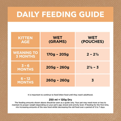 Ivory Coat Kitten Wet Food Chicken in Gravy 85g - Woonona Petfoods