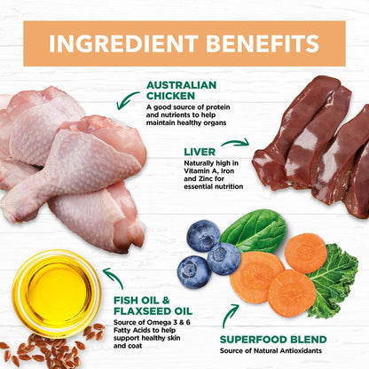 Ivory Coat Kitten Wet Food Chicken in Gravy 85g - Woonona Petfoods