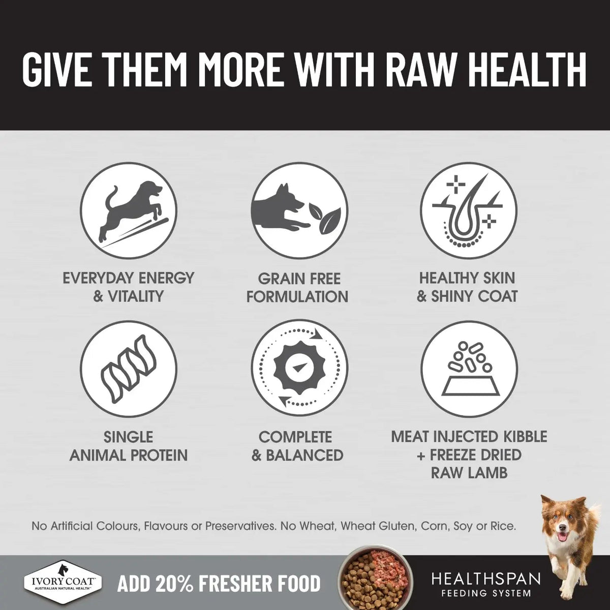 Ivory Coat Raw Health Dry Dog Food Adult Lamb Sensitive - Woonona Petfoods