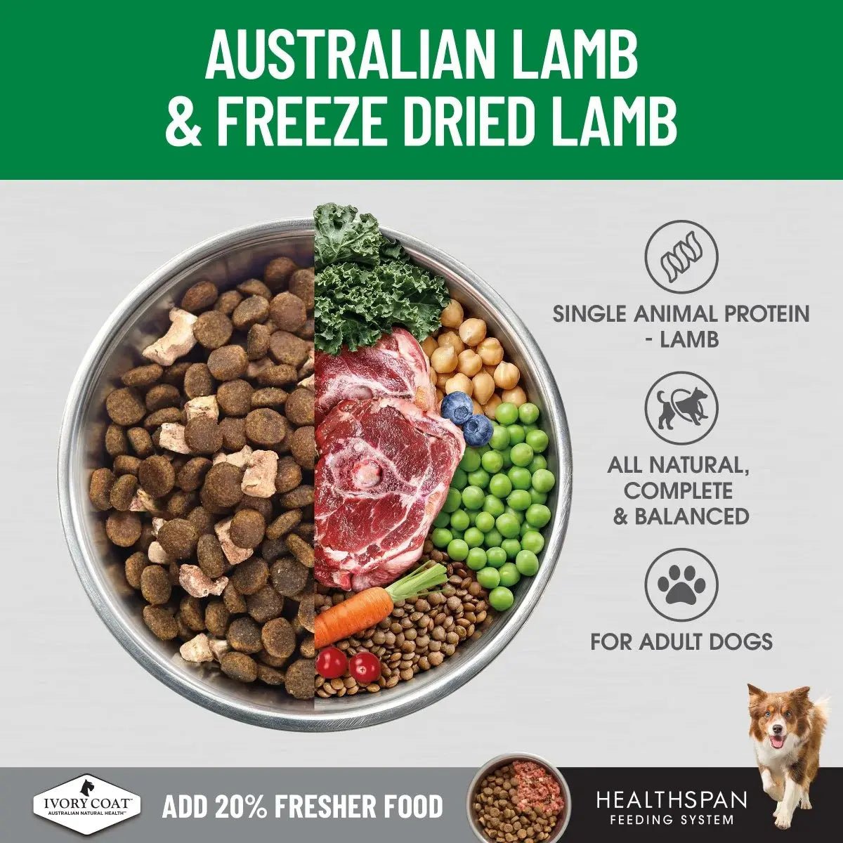 Ivory Coat Raw Health Dry Dog Food Adult Lamb Sensitive - Woonona Petfoods