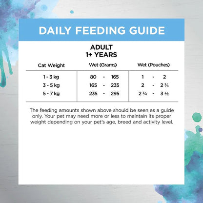 Ivory Coat Raw Health Wet Cat Food Chicken Gut and Digestion - Woonona Petfood & Produce