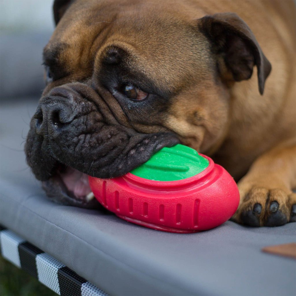 Kazoo Christmas Tough Footy - Medium - Woonona Petfoods