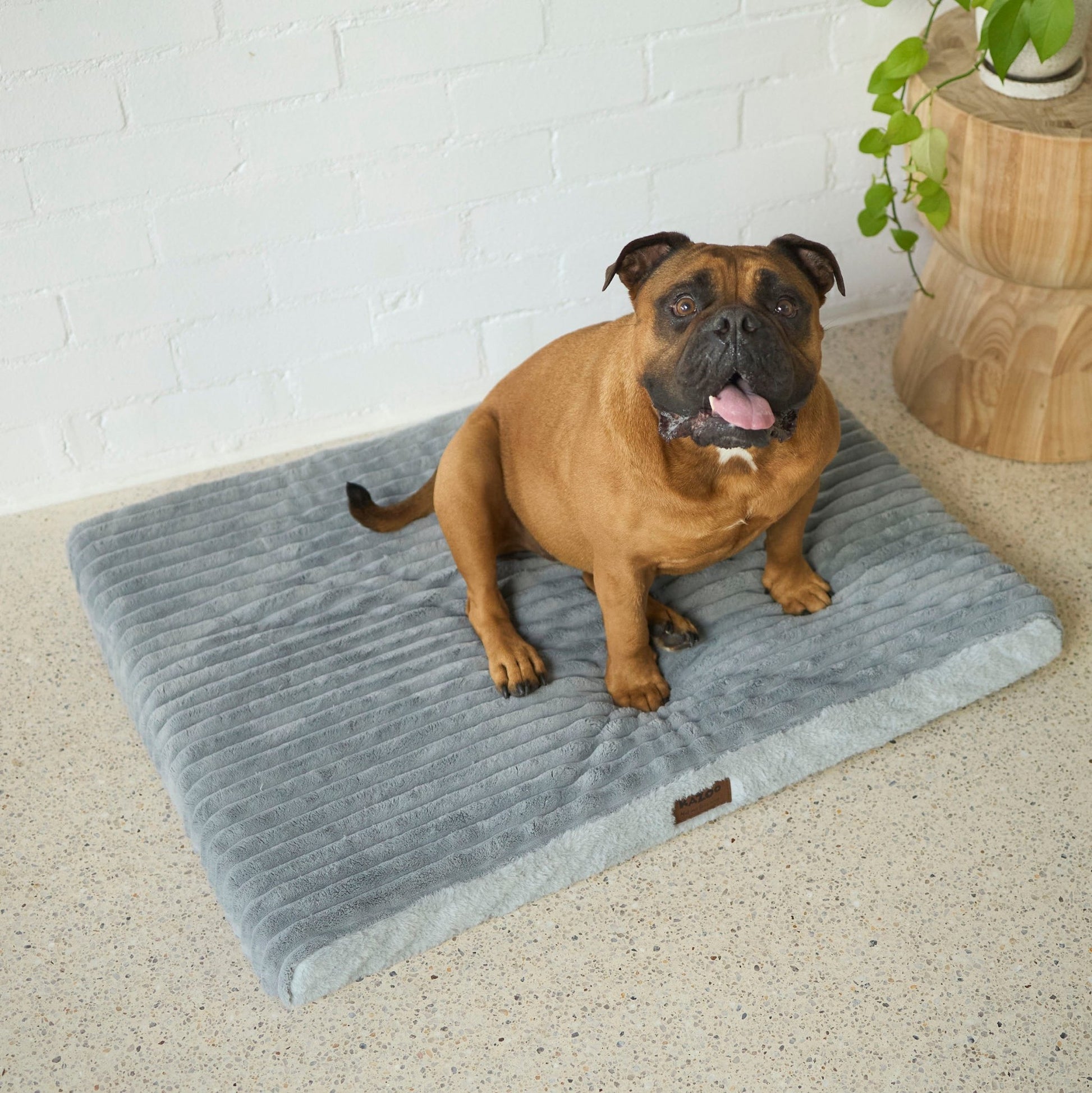 Kazoo Cosy Crate Mat - Woonona Petfoods