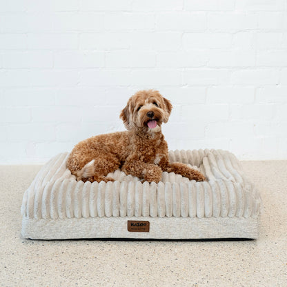 Kazoo Dog Bed Cloud Comfort Bed Beige - Woonona Petfoods