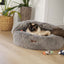 Kazoo Dog Bed Hideout Mud - Woonona Petfoods