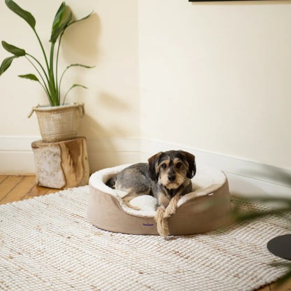 Kazoo Dog Bed Manhattan Coffee & White - Woonona Petfoods
