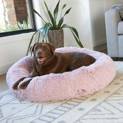 Kazoo Dog Bed Peacock Rose - Woonona Petfoods