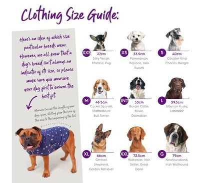 Kazoo Dog Coat Chestie Jumper Blue - Woonona Petfood & Produce