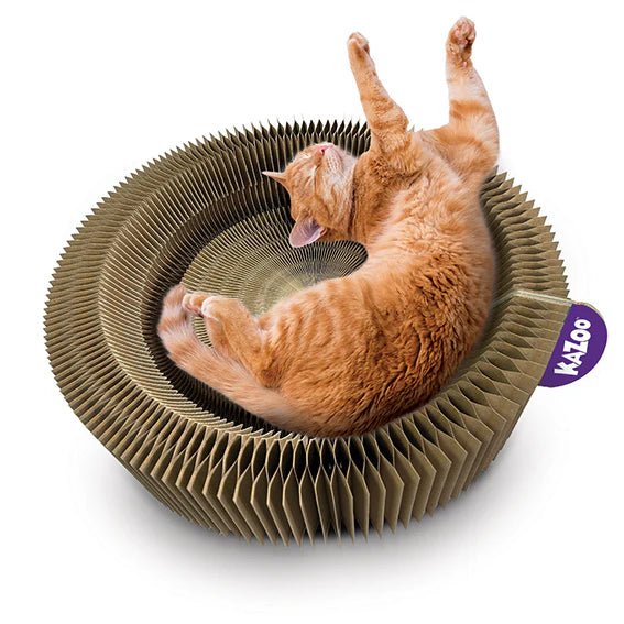 Kazoo Kitty Accordion Cardboard Bed with Bell - Woonona Petfoods