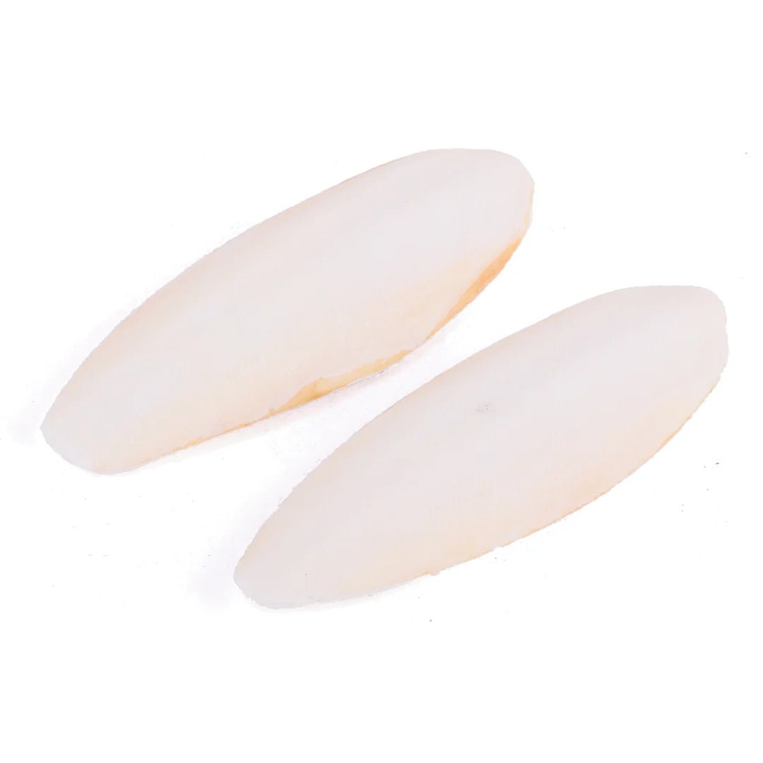 Kazoo Natural Cuttlebone Small 2 Pack - Woonona Petfood & Produce