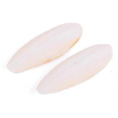 Kazoo Natural Cuttlebone Small 2 Pack - Woonona Petfood & Produce