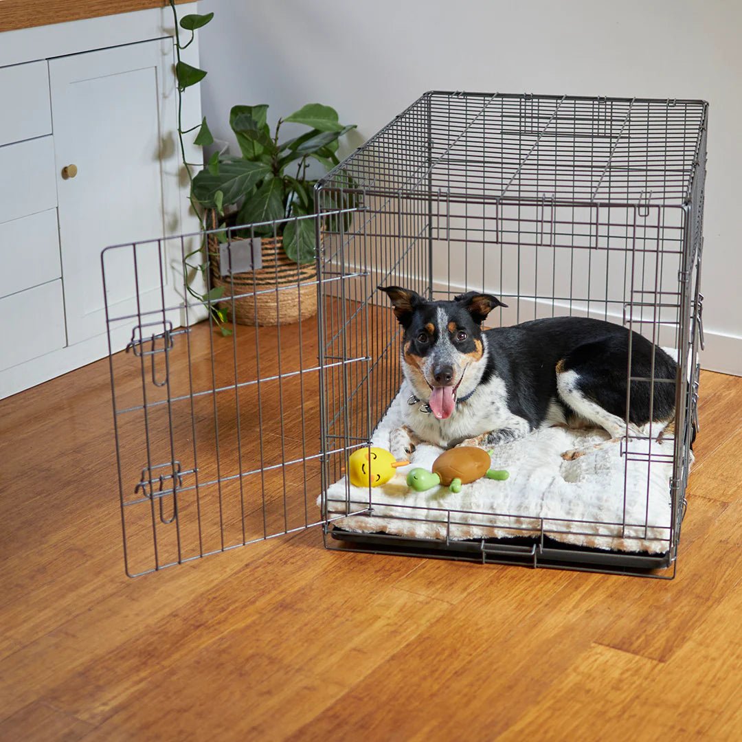 Kazoo Premium Mobile Dog Crate - Woonona Petfoods