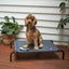 Kazoo Premium Outdoor Bed Charcoal - Woonona Petfood & Produce