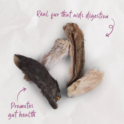 Kazoo Prime Cuts Cats Bunny Ears 4 Pack - Woonona Petfoods