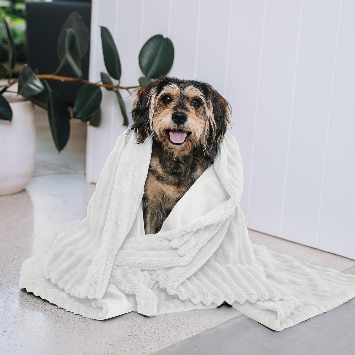 Kazoo Ribbed Blanket - Woonona Petfoods