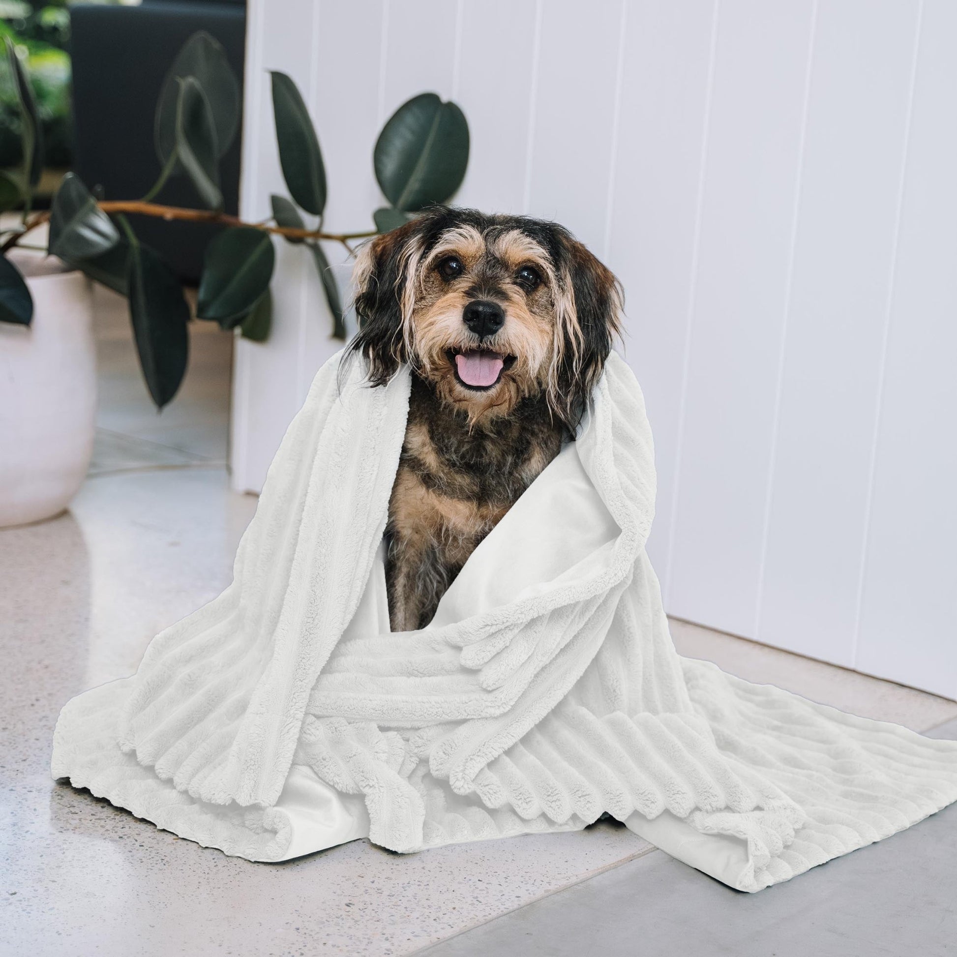 Kazoo Ribbed Blanket - Woonona Petfoods