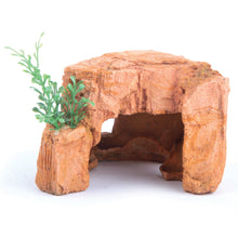 Kazoo Sandstone Rock With Plant Mini 75mm - Woonona Petfoods