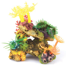 Kazoo Soft Coral With Plants - Woonona Petfoods