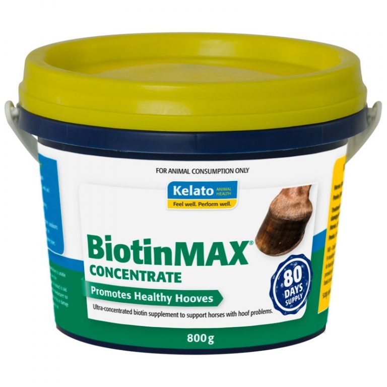 Kelato Biotin Max Concentrate 800g - Woonona Petfoods