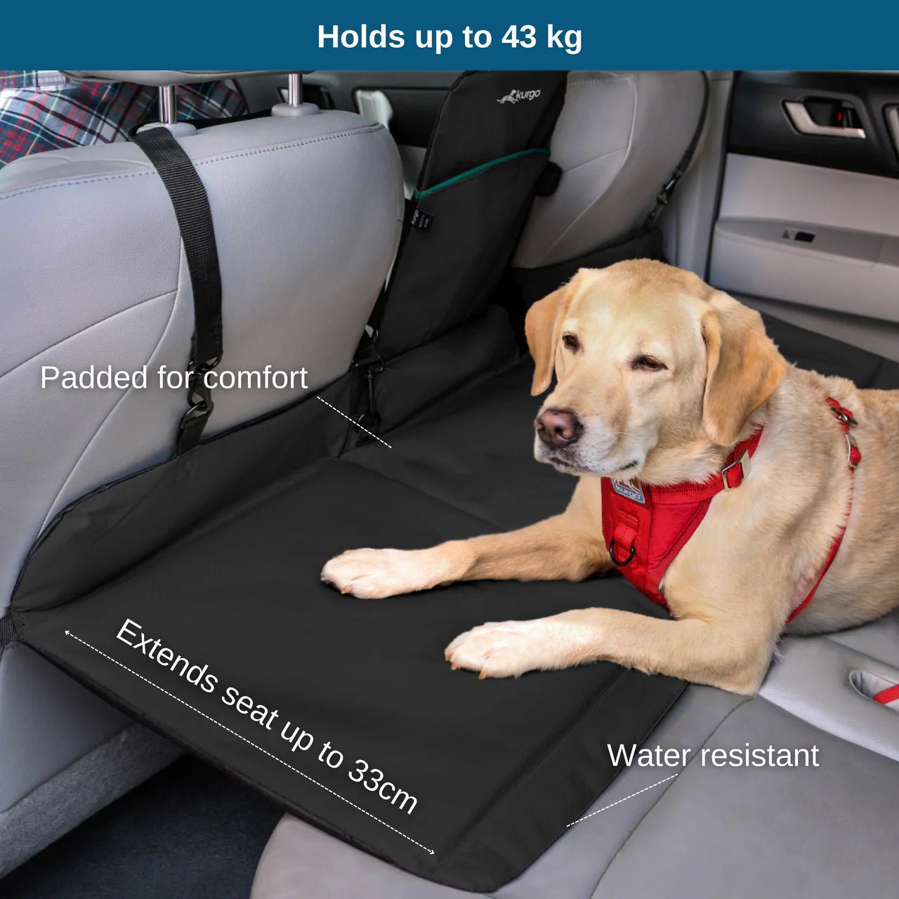 Kurgo Backseat Bridge Black/Grey - Woonona Petfoods