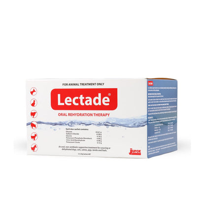 Lectade 1 X 64g Sachet - Woonona Petfoods