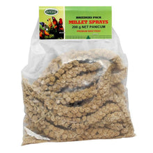 Millet Spray Panicum Avione - Woonona Petfoods
