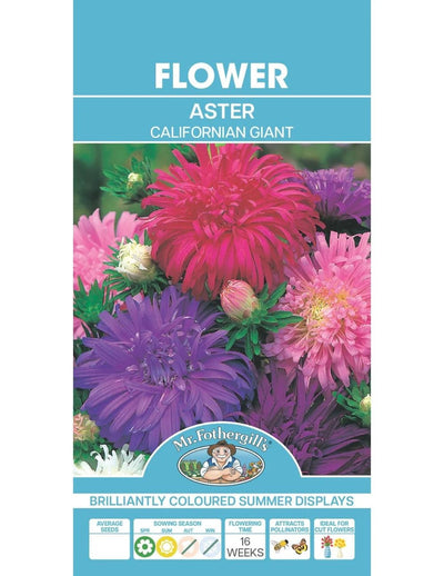 Mr Fothergills Aster Californian Giant