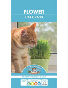 Mr Fothergills Cat Grass - Woonona Petfoods